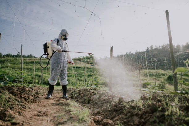 Best Commercial Pest Control Services  in Seymour, TN