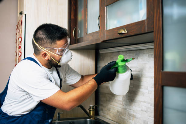 Best Commercial Pest Control Services  in Seymour, TN
