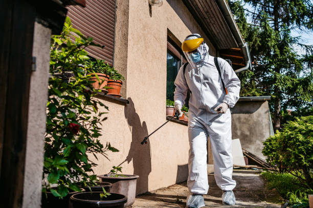 Best Wasp Removal Services  in Seymour, TN