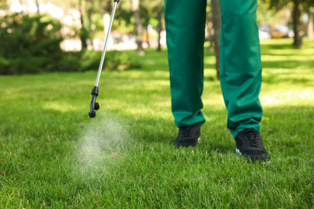 Best Pest Prevention Services  in Seymour, TN