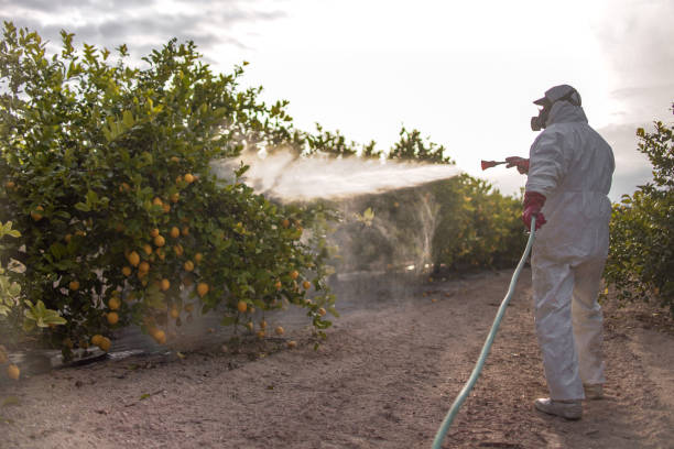 Trusted Seymour, TN Pest Control Experts
