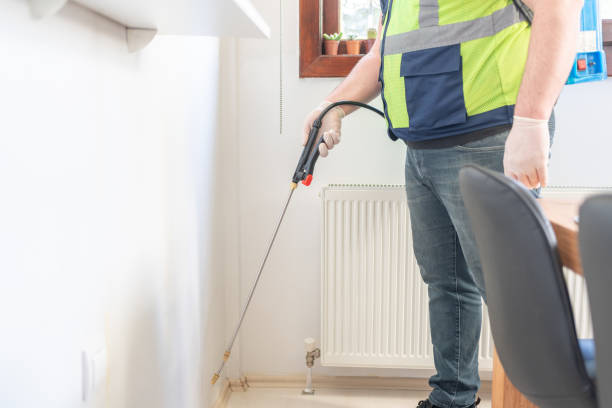 Best Termite Control Services  in Seymour, TN