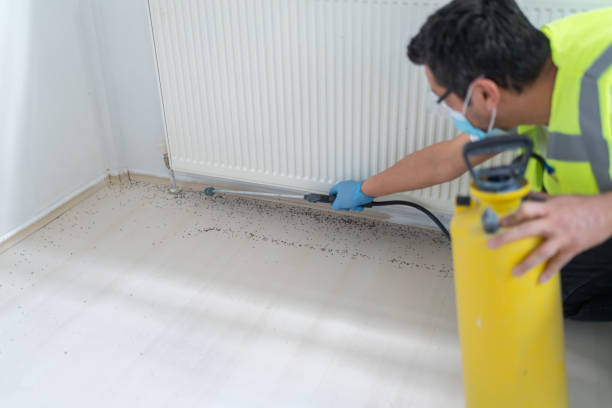 Best Mosquito Control Services  in Seymour, TN