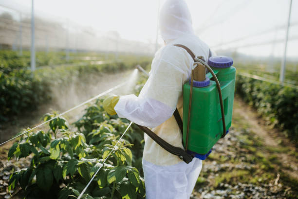 Best Best Pest Control Companies  in Seymour, TN